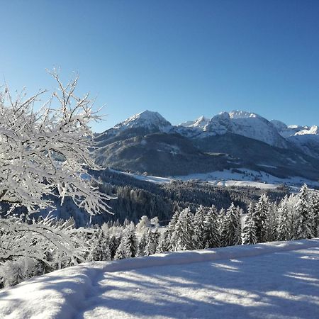 Lammerauhof Abtenau Buitenkant foto